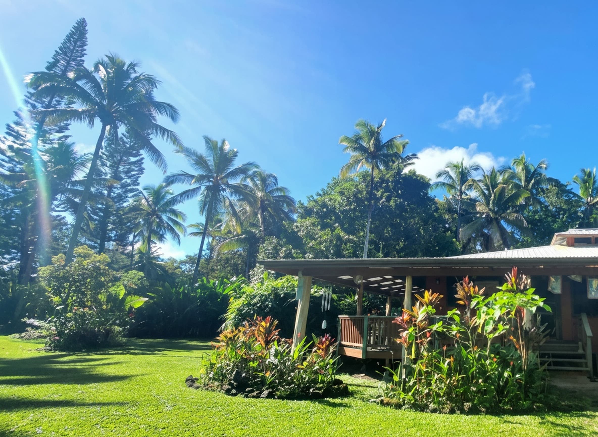 Coco Wasi garden yard