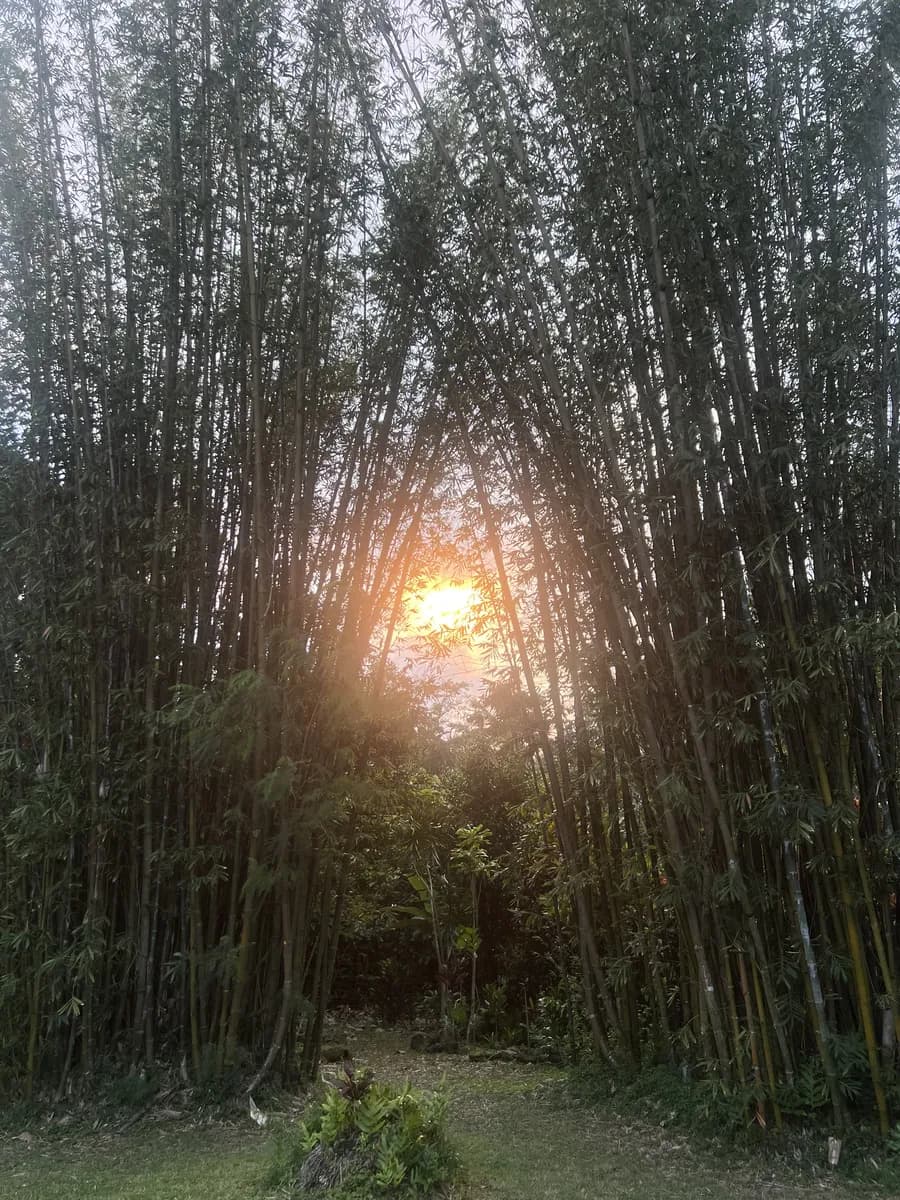 HEALING
