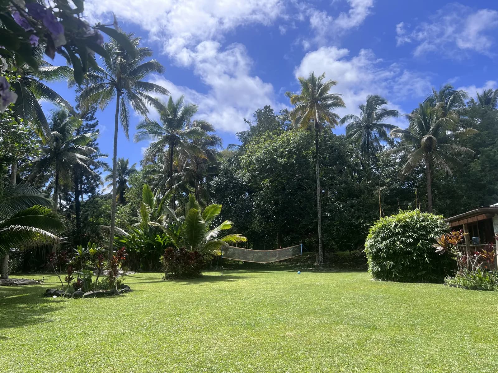 Palm sunset over Coco Wasi