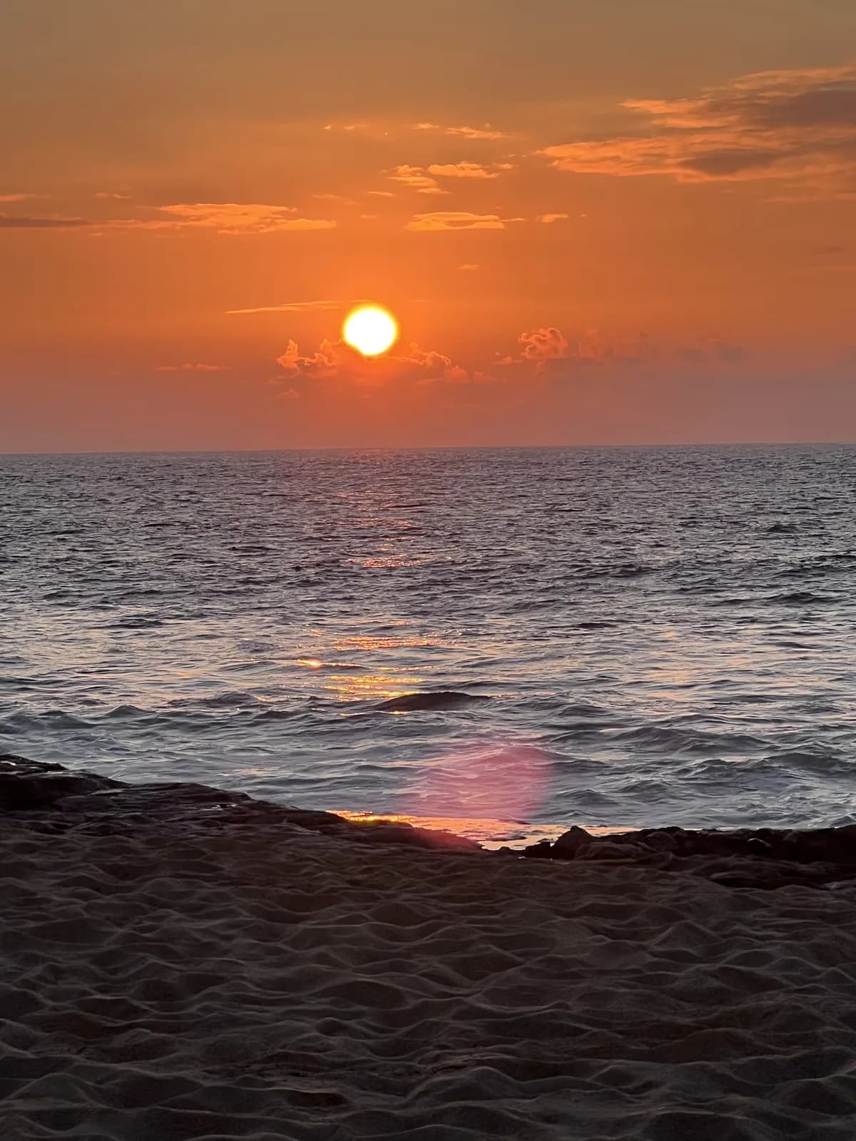 Palm trees at sunset