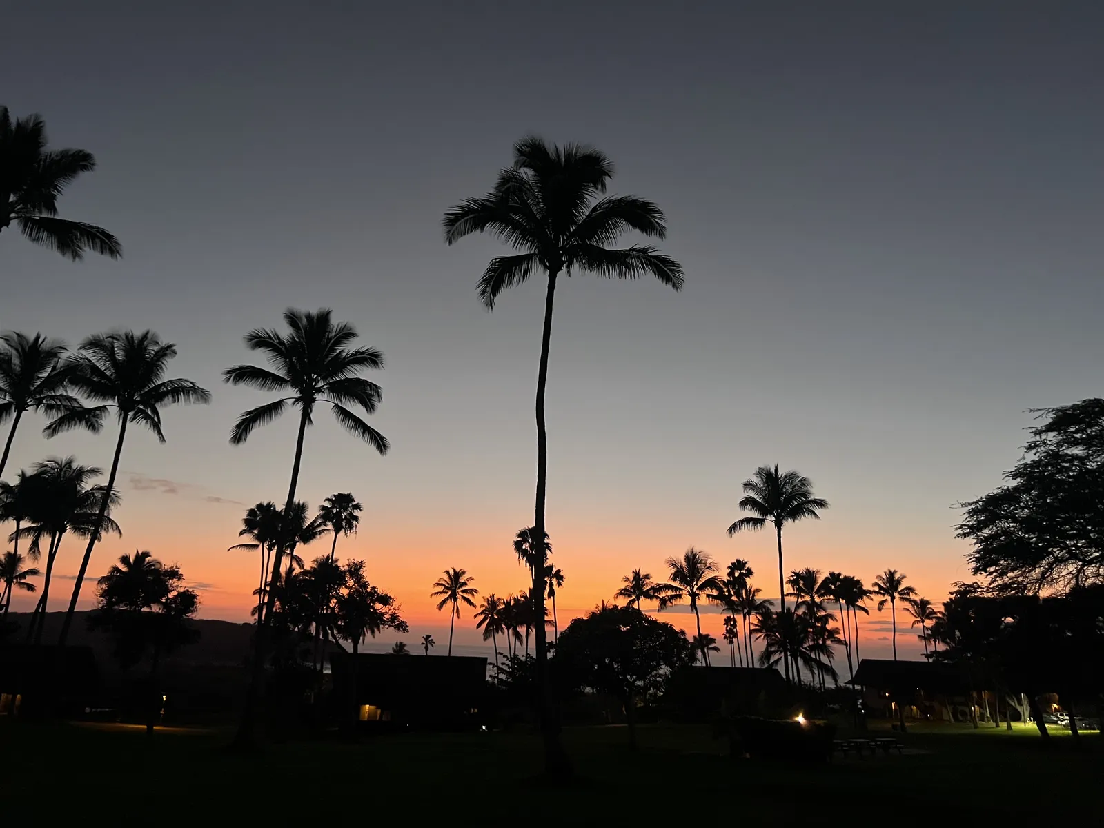 Sunlight through the forest