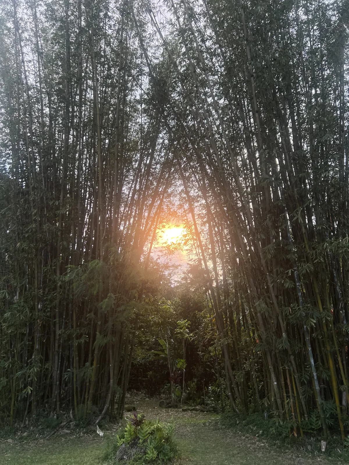 Big Island coastline