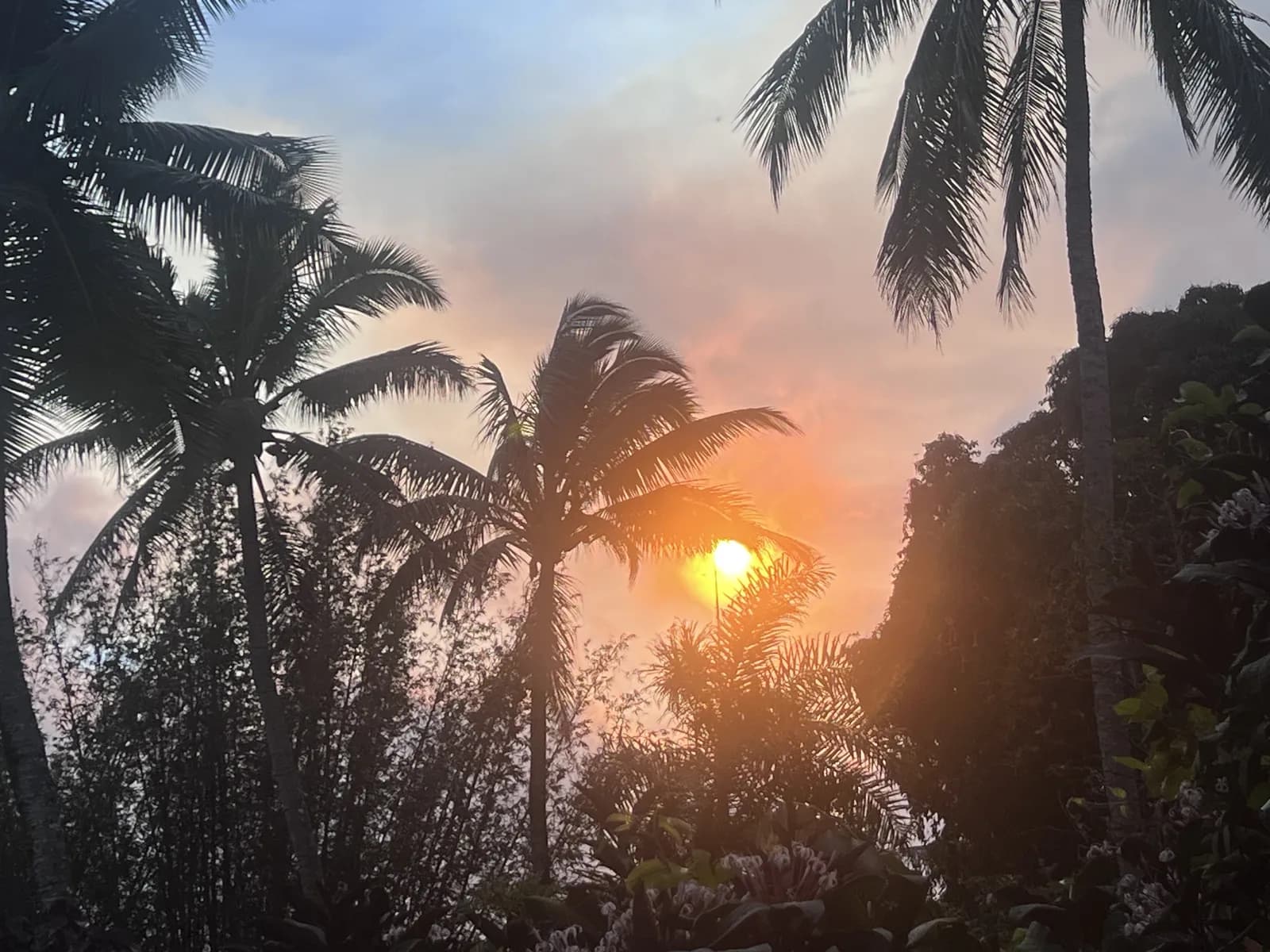 Ocean cliffs at dusk