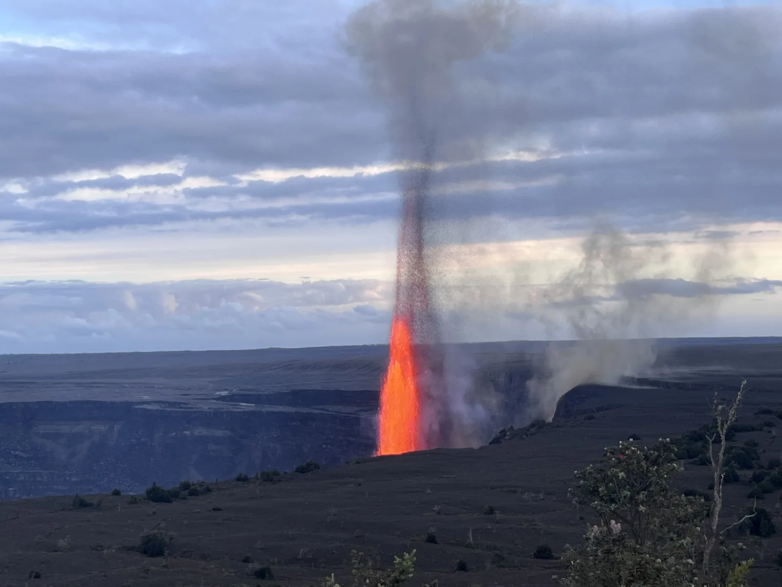 Rooster on sacred land